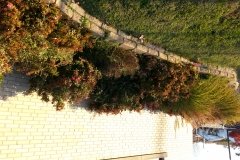 20141106_161538