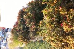 20141106_161610