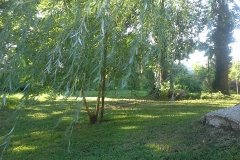 20130810_180720