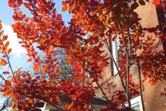 20131107_151828