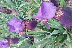 20150507_082309