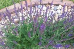 20150507_082320