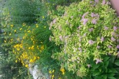 20150523_072638