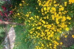 20150523_072723