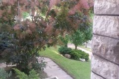 20150523_072946