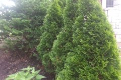 20150523_073102