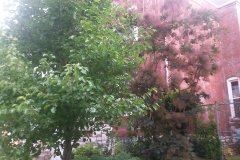 20150523_073133