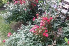 20150704_175204