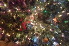 20151129_182356
