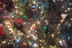 20151129_204820