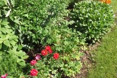 20130601_164732