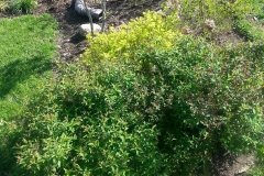 20150412_165129