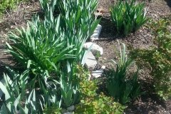 20150412_165203