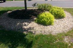 20150505_110539
