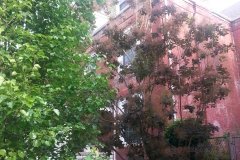 20150507_082020