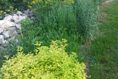 20150507_082145