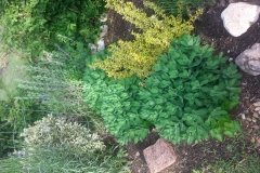 20150523_072703