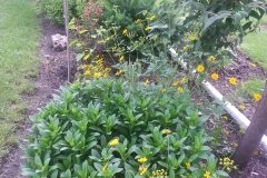 20150523_072806