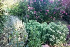 20150807_074633
