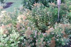 20150807_074655