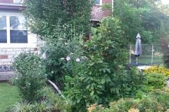 20150807_074750
